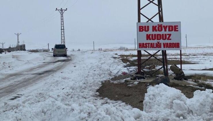 Bitlis’te kuduz alarmı: Bir köy karantinaya alındı