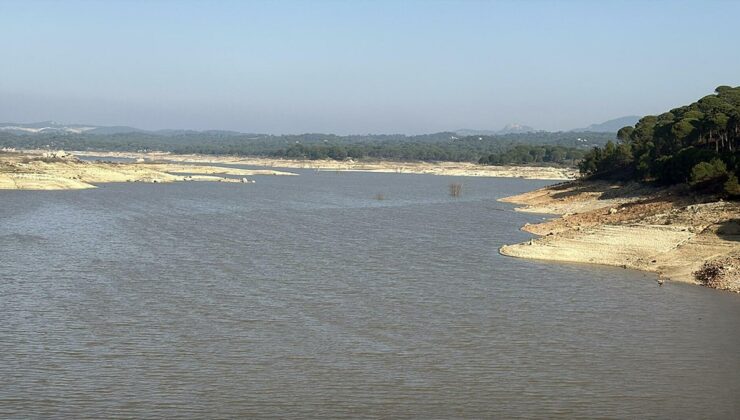 Bodrum için alarm:  Yağışlar barajları doldurmadı, yer altı suları tükeniyor
