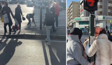 Bursa’da lodos zor anlar yaşattı, uçmak istemeyen trafik lambasına tutundu