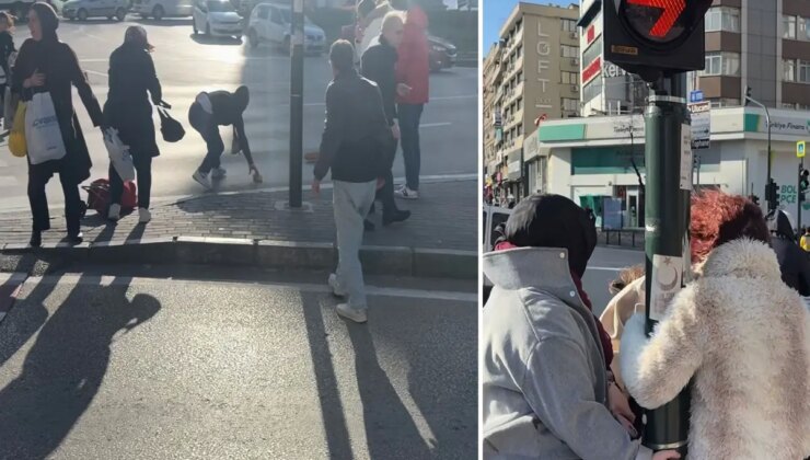 Bursa’da lodos zor anlar yaşattı, uçmak istemeyen trafik lambasına tutundu