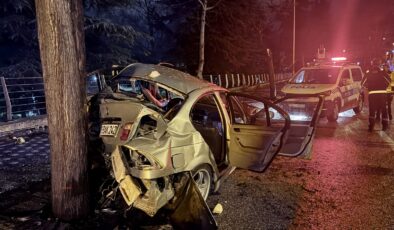 Bursa'da ağaca çarpan otomobildeki 2 kişi ağır yaralandı
