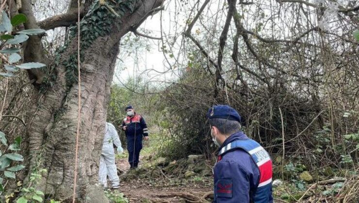 Çalılıklarda cesedi bulundu