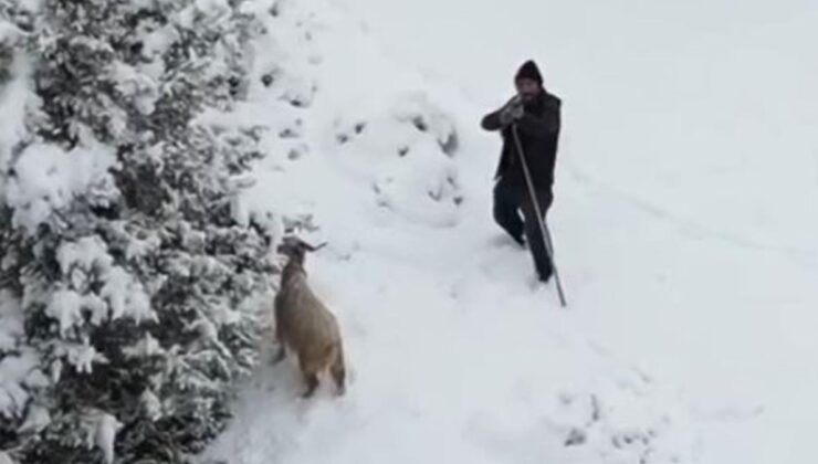 Çoban gördüğü drona tüfek doğrulttu! O anlar kameraya yansıdı