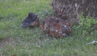 Çocuk parkında paniğe neden olan mühimmat incelemeye alındı