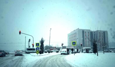 Diyarbakır’da kar esareti