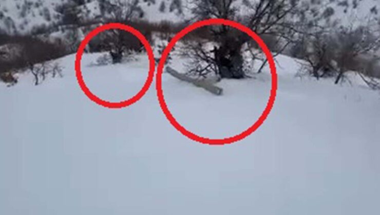 Eğimli arazide işçiler, karda kayan direkle birlikte sürüklendi