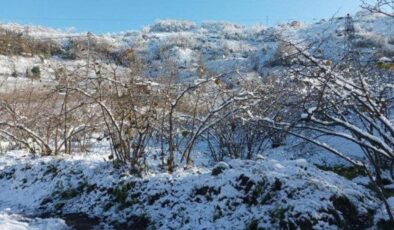 Fındık üreticilerinin kar sevinci