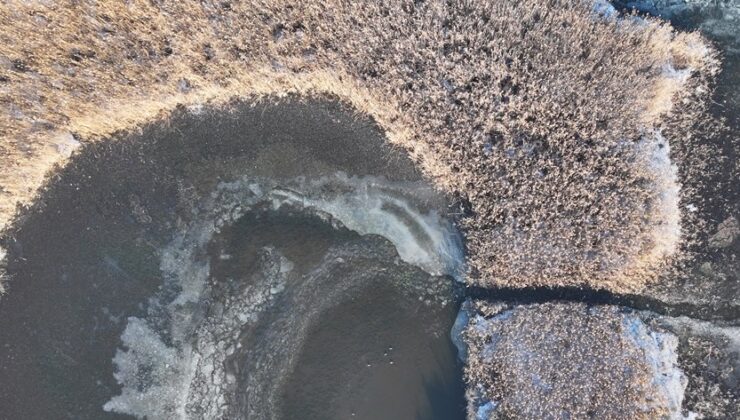 Göçmen kuşların ev sahipliğini yapıyordu: Buz kütlesine döndü