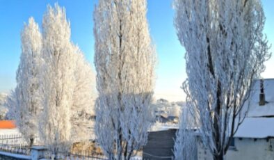 Göle'de termometreler eksi 39,7 dereceyi gösterdi