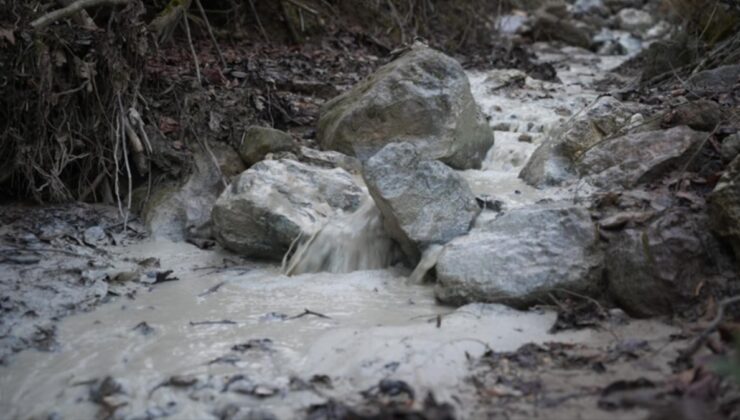 Halkı döve döve yapıldı şimdi zehir saçıyor