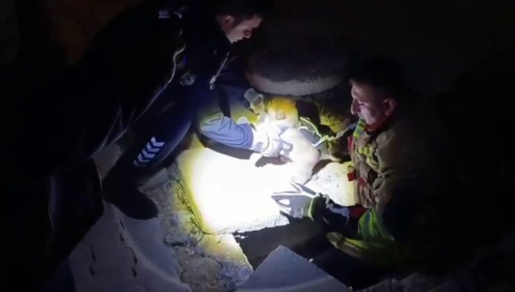 Hatay'da rögarda sıkışan yavru köpeğin imdadına itfaiye yetişti