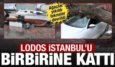 İstanbul’da lodos kabusu! Ağaçlar yıkıldı, tekneler devrildi: 1 saniye ile kurtuldum