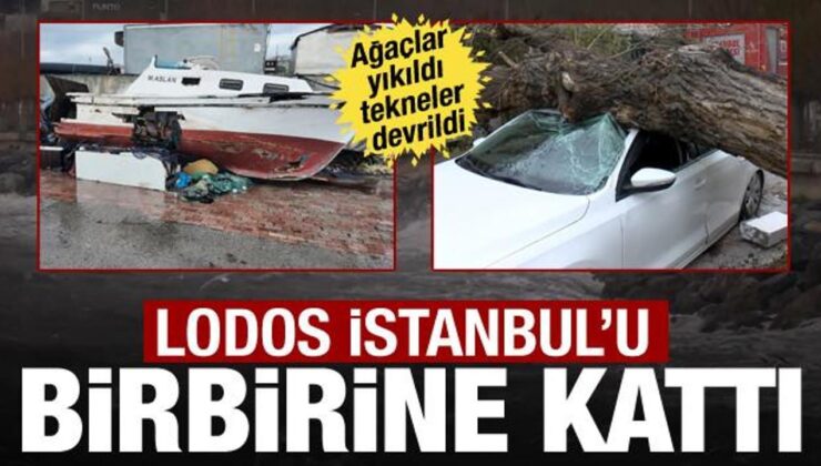 İstanbul’da lodos kabusu! Ağaçlar yıkıldı, tekneler devrildi: 1 saniye ile kurtuldum