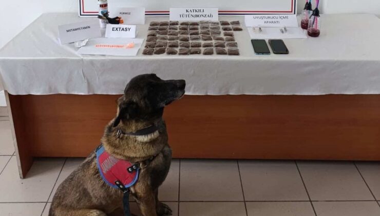 Kastamonu’da uyuşturucu operasyonu: 1 tutuklama