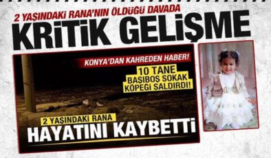 Köpek saldırısında ölen minik Rana davasında iki müdüre soruşturma izni