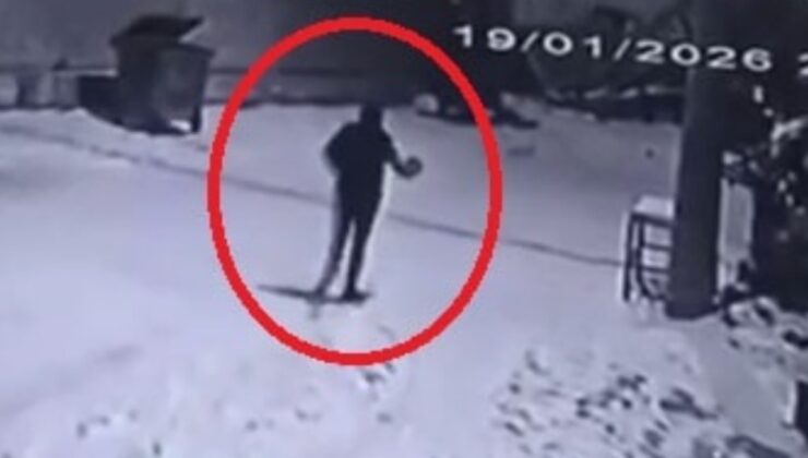 Mahalleye inen kurtları, çaydanlıkla kovaladı: Türkiye'de bu da oldu!