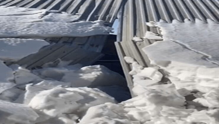 Mardin’de ahır çöktü: 10 koyun telef oldu