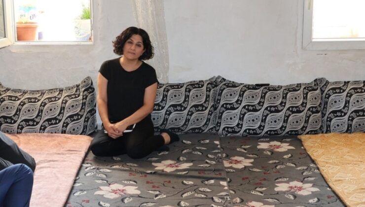 Mardin'de 'sahte diploma' skandalı: Müdür tutuklandı