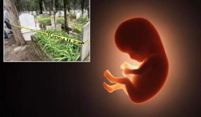 Mezarlıkta poşet içinde cenin bulundu