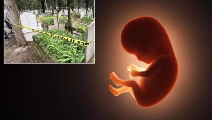 Mezarlıkta poşet içinde cenin bulundu