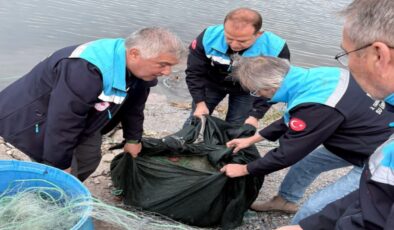 Muğla'da kilolarca deniz ürününe el konuldu, 6 İşletmeye 379 bin TL ceza