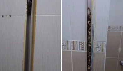 Öğrencilere kiraya verdiği eve giren kadın, gördüğü manzara karşısında sinir krizi geçirdi