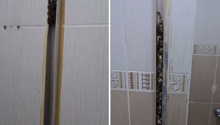 Öğrencilere kiraya verdiği eve giren kadın, gördüğü manzara karşısında sinir krizi geçirdi