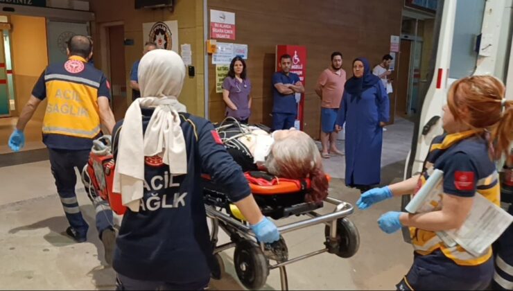 Özel halk otobüsünün çarptığı Maryam, 234 gün sonra hayatını kaybetti