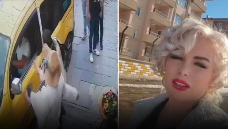 Paylaştığı videodaki şoför linç edilmişti! Mahkeme şoföre değil Mardinli Marilyn Monroe'ya hapis verdi