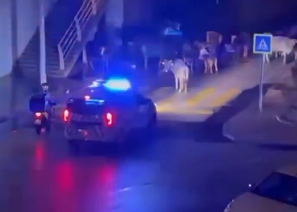 Polislerin anonsu sosyal medyanın diline düştü