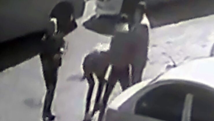 "Küfretmeyin" dedi, dünyası karardı