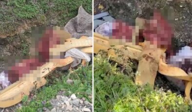 Sakarya’da çalılık alana hayvan kemiği attığı tespit edilen 2 şüpheli yakalandı