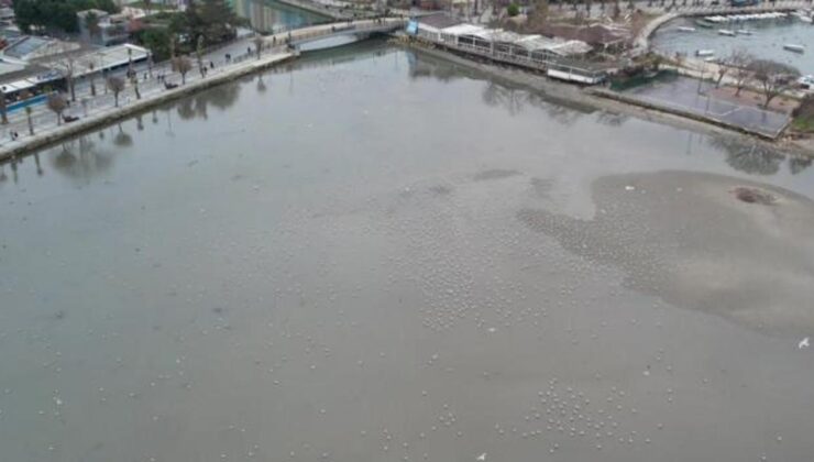 Silivri ve Avcılar’da deniz metrelerce çekildi