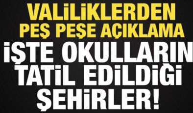 Son dakika: Valiliklerden peş peşe açıklama! 14 Ocak’ta okulların tatil edildiği iller…