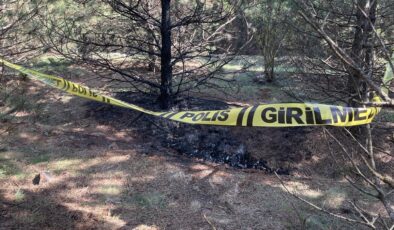 Tartıştığı sevgilisini boğarak öldürüp, cesedini 2 kez yakmış