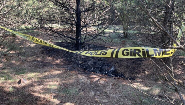 Tartıştığı sevgilisini boğarak öldürüp, cesedini 2 kez yakmış