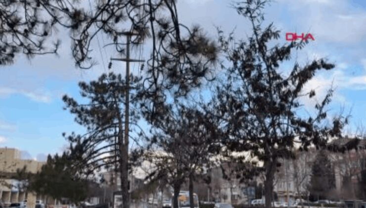 Tekirdağ'da fırtına; uçuşlar iptal edildi, balıkçılar denize açılamadı