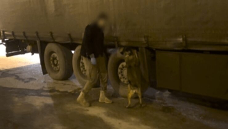 TIR'daki 51 kilo esrarı 'Mailo' yakaladı