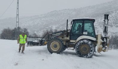 Tunceli'de ekipler hasta inek için seferber oldu