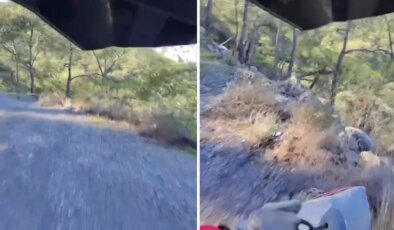 Uçuruma yuvarlanırken tek bir kelime haykırdı