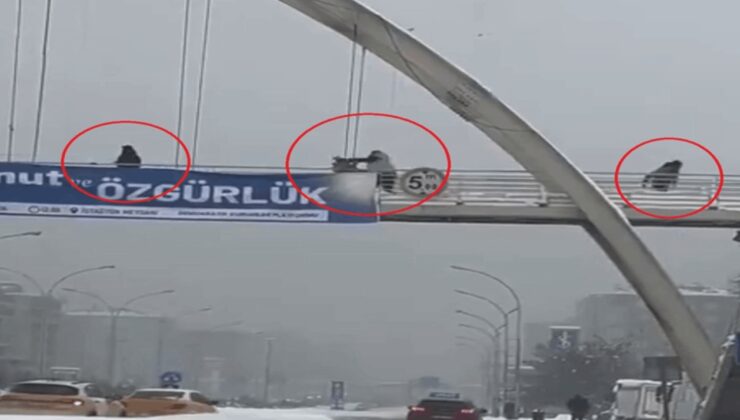 Üst geçitte çocukları yumruklayıp, tekmeledi