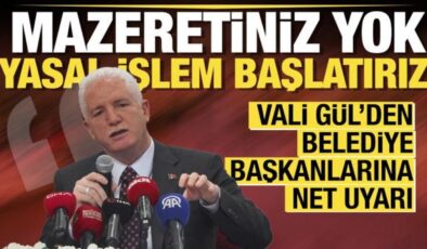 Vali Gül’den belediyelere sahipsiz sokak hayvanları uyarısı: Yasal işlem başlatılacak