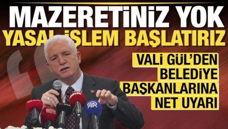 Vali Gül’den belediyelere sahipsiz sokak hayvanları uyarısı: Yasal işlem başlatılacak