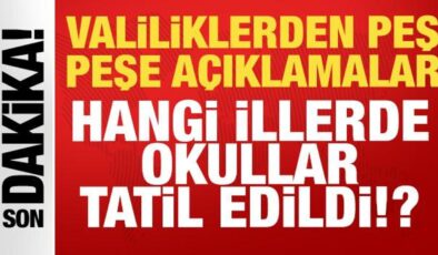 Valiliklerden peş peşe son dakika açıklamalar: 13 Ocak Salı günü okul tatili olan iller…