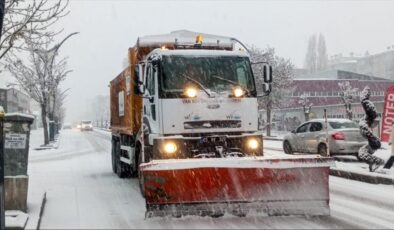 Van'da 133 yerleşim yerinin yolu ulaşıma kapalı