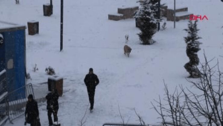 Van'da 363 yerleşim yeri ulaşıma kapandı