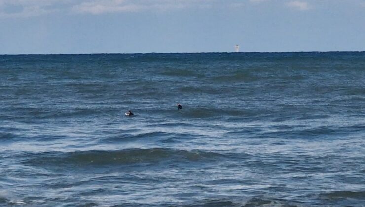 Vatandaşların can havliyle ihbar ettiği kişiler sporcu çıktı!