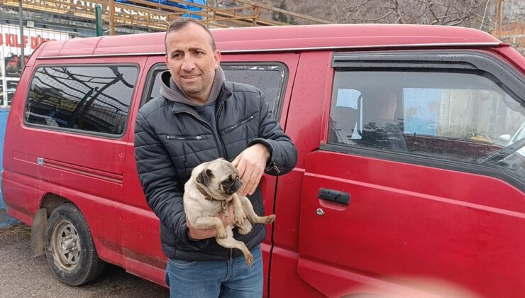 Yangında mahsur kalan yavru köpek kurtarıldı