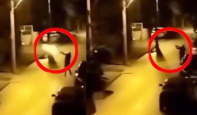 Yılbaşında korkuya neden olmuştu: Yakalandı