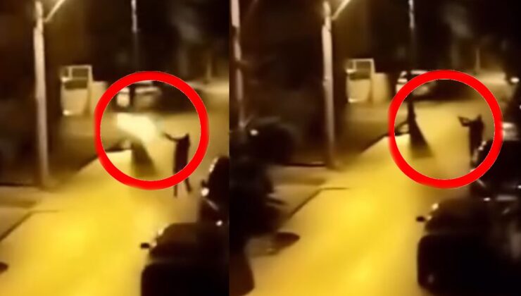 Yılbaşında korkuya neden olmuştu: Yakalandı